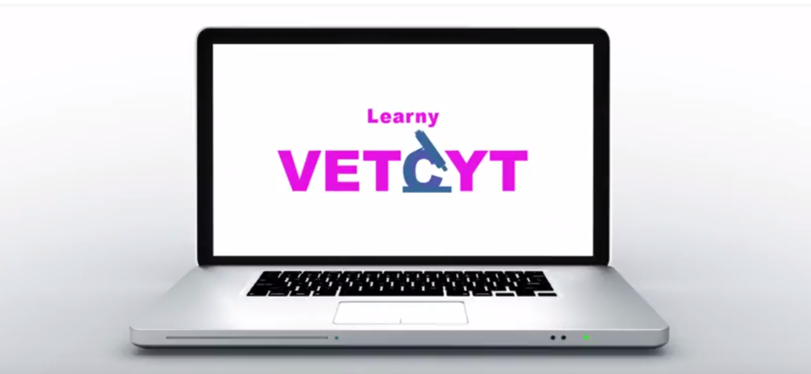 logo-learny-vetcyt