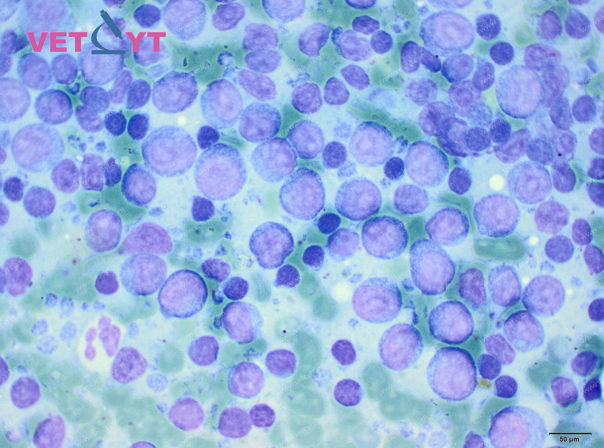 Lymphome (rate)